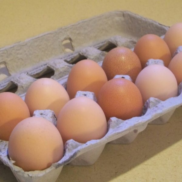 Dozen Eggs