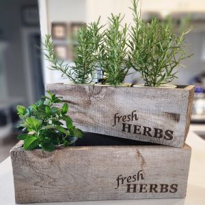 Reclaimed Wood Rustic Herb Planter - Trough