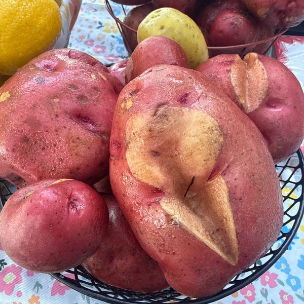 Potato Basket