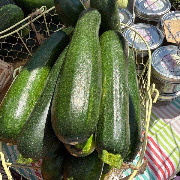 Zucchini