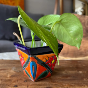 Artisan Talavera Planter with Succulent