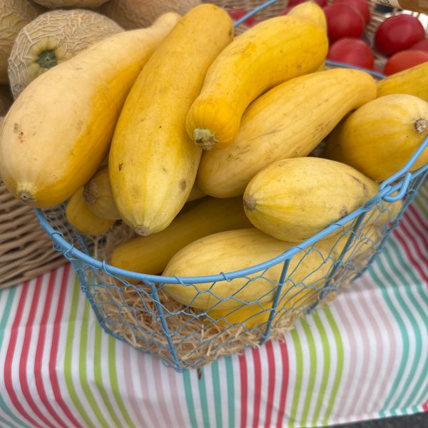 Yellow Squash