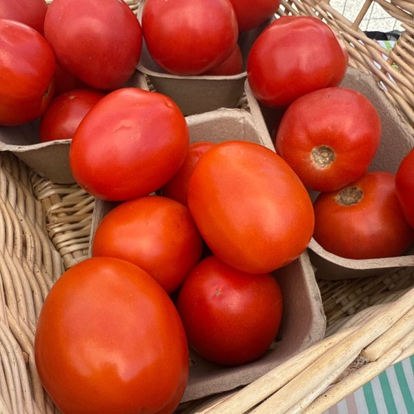 Tomato Basket