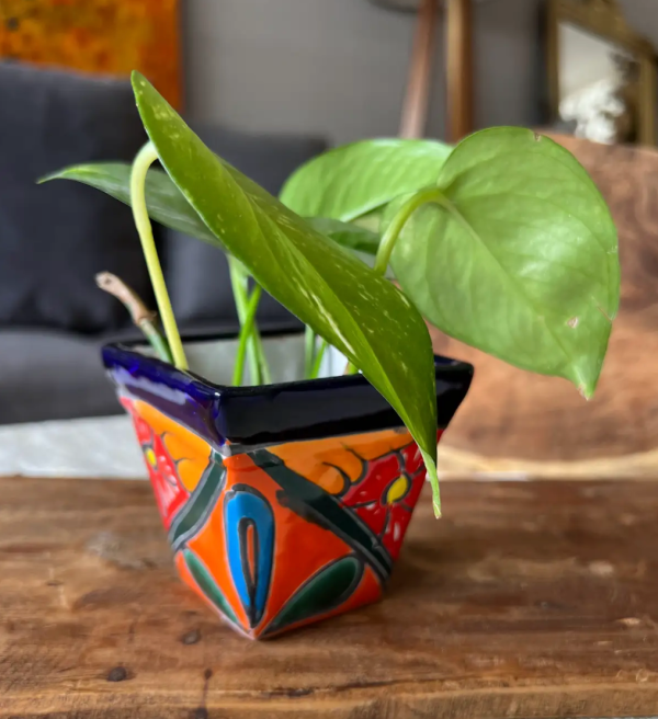 Artisan Talavera Planter with Succulent