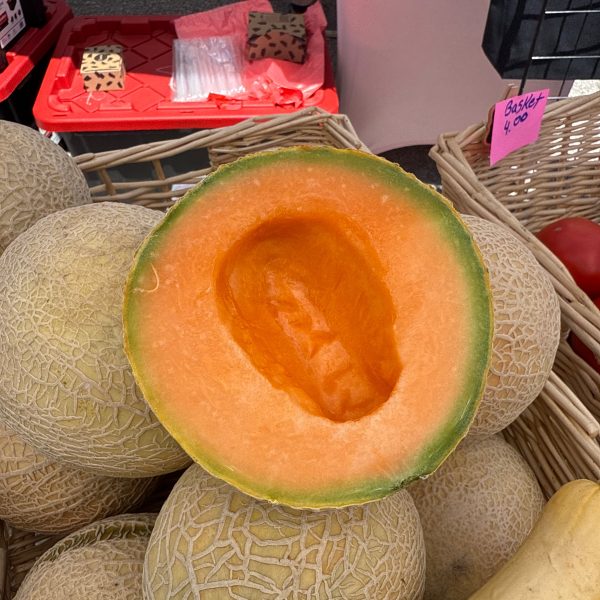 Cantaloupe