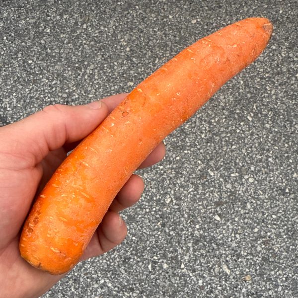 Carrots